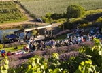 United States Launches Certified Tourism Ambassador Program in Yakima Valley to Enhance Local Tourism and Visitor Experiences